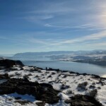 Winter sun