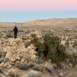CrossCountry Bob scanning the valley below Joshua Tree