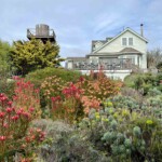 Mendecino garden from the street