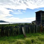 Practical fence repair