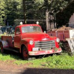 Classic wood hauler in redwoods country