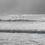 Surfing USA! Beach boys style.