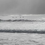 Surfing USA! Beach boys style.