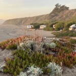 Wrights Beach campsite