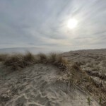 Dune sky