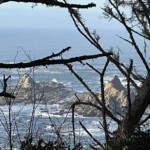 Classic Oregon coast