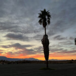 Sunset from our Salton Sea campsite