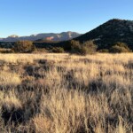 brown desertscape near Sedona