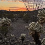 never tire of sunsets