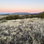 Grey grass desert colours