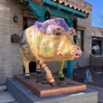 politician in disguise suspects CrossCountry Bob