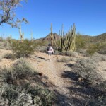 Walking a desert trail