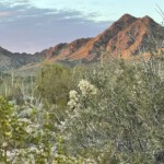 Hills for Paintin' Peggie to paint