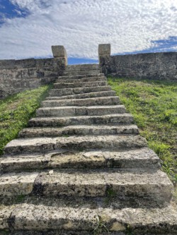 Stairway to wine heaven