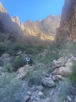 Hiking up towards Palm Canyon