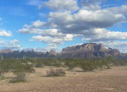 Another desert day at Palm Canyon