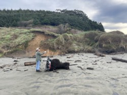Peggie painting on the beach