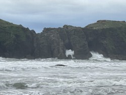A touch rough for swimming