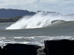 surf that if you dare