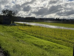 notice the new lake in the background
