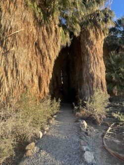 Enter not if faint of heart