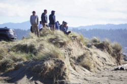 Watching the surfers
