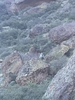 among the boulders